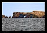 Ballestas Islands 006